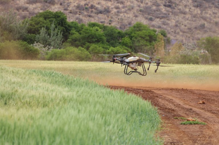 Innovación y tecnología en el sector agropecuario